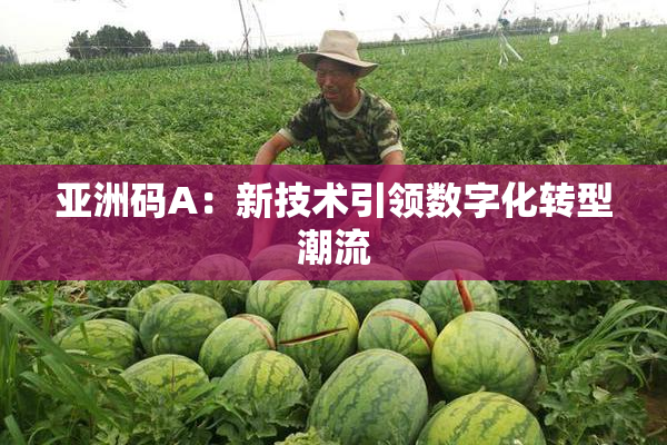 亚洲码A：新技术引领数字化转型潮流