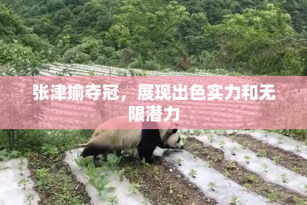 张津瑜夺冠，展现出色实力和无限潜力