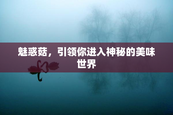 魅惑菇，引领你进入神秘的美味世界
