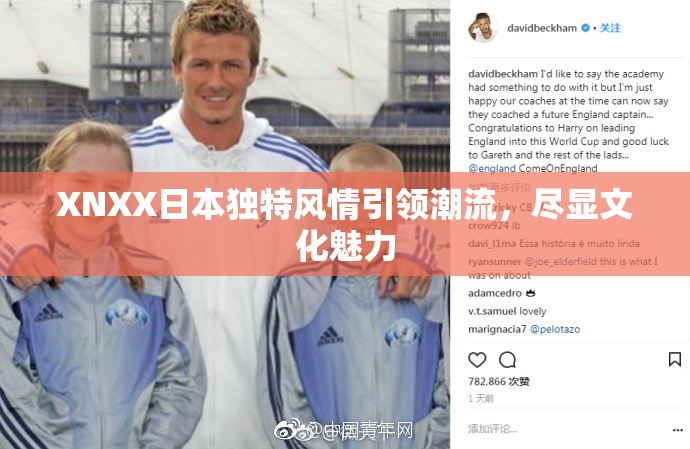 XNXX日本独特风情引领潮流，尽显文化魅力