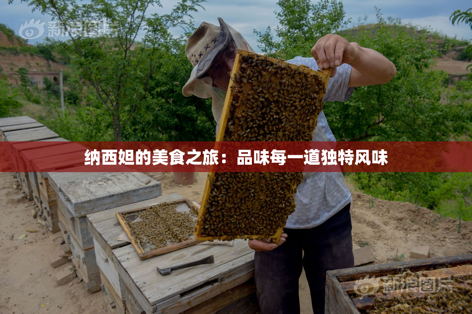 纳西妲的美食之旅：品味每一道独特风味