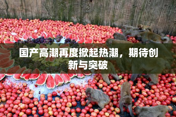 国产高潮再度掀起热潮，期待创新与突破