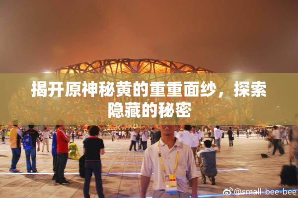 揭开原神秘黄的重重面纱，探索隐藏的秘密