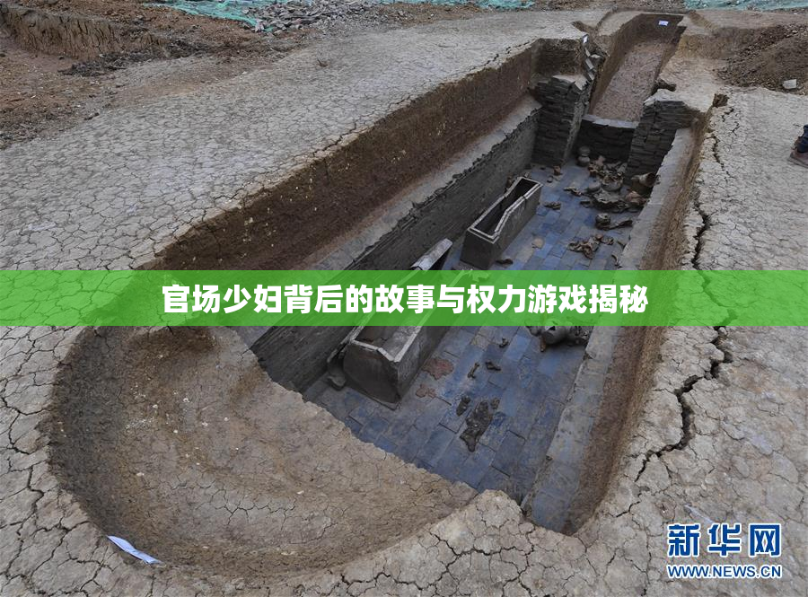 官场少妇背后的故事与权力游戏揭秘