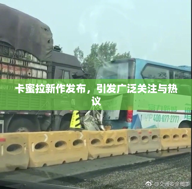 卡蜜拉新作发布，引发广泛关注与热议