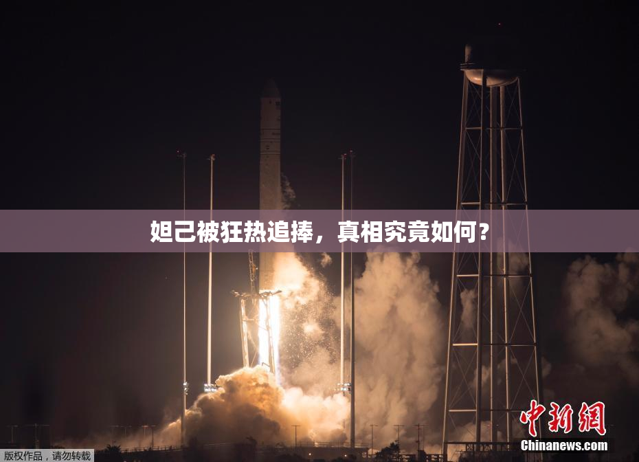 妲己被狂热追捧，真相究竟如何？