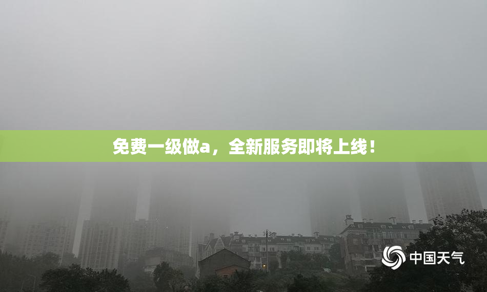 免费一级做a，全新服务即将上线！