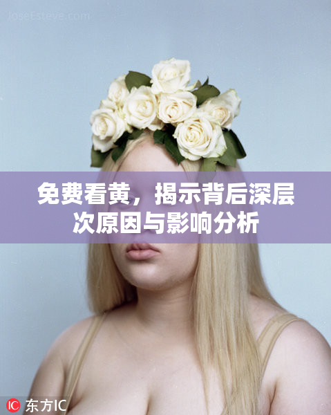免费看黄，揭示背后深层次原因与影响分析