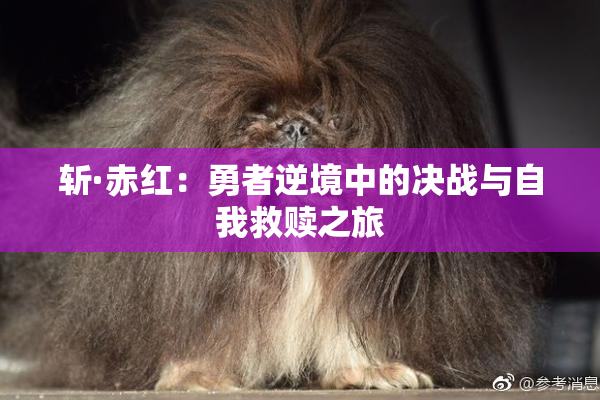 斩·赤红：勇者逆境中的决战与自我救赎之旅