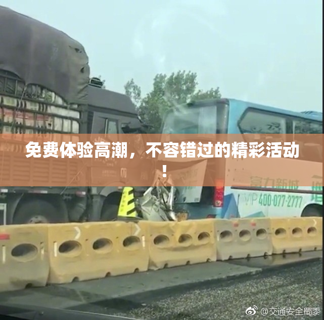 免费体验高潮，不容错过的精彩活动！