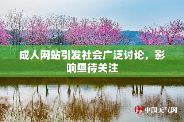 成人网站引发社会广泛讨论，影响亟待关注