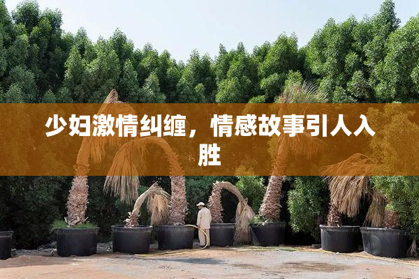 少妇激情纠缠，情感故事引人入胜