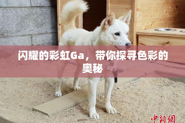 闪耀的彩虹Ga，带你探寻色彩的奥秘