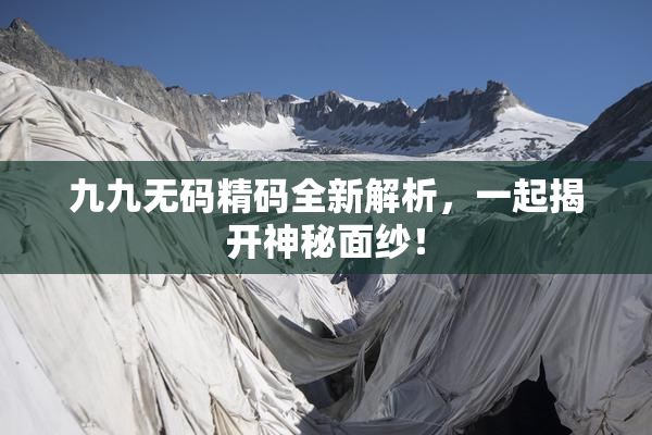 九九无码精码全新解析，一起揭开神秘面纱！