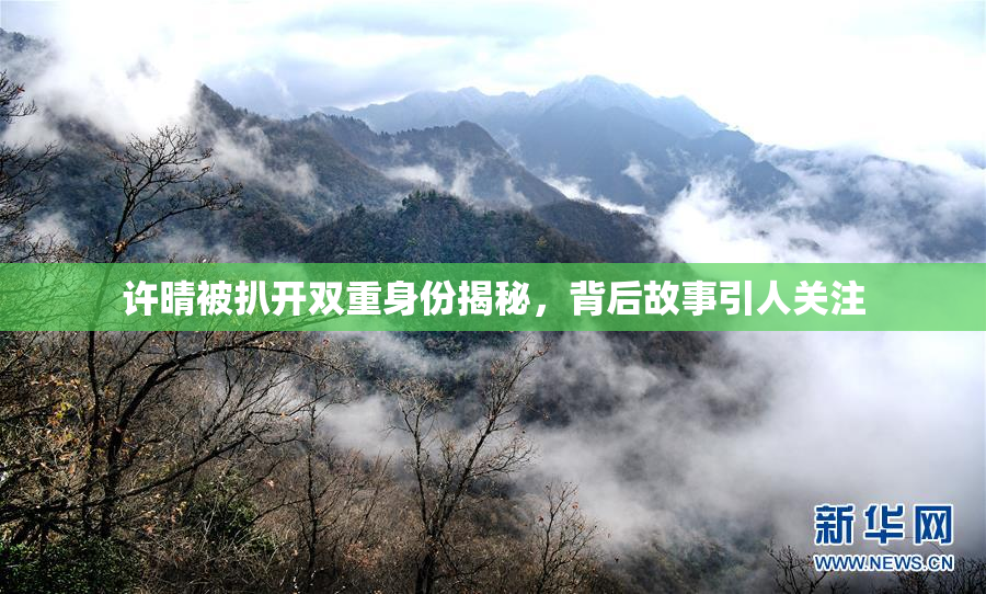 许晴被扒开双重身份揭秘，背后故事引人关注