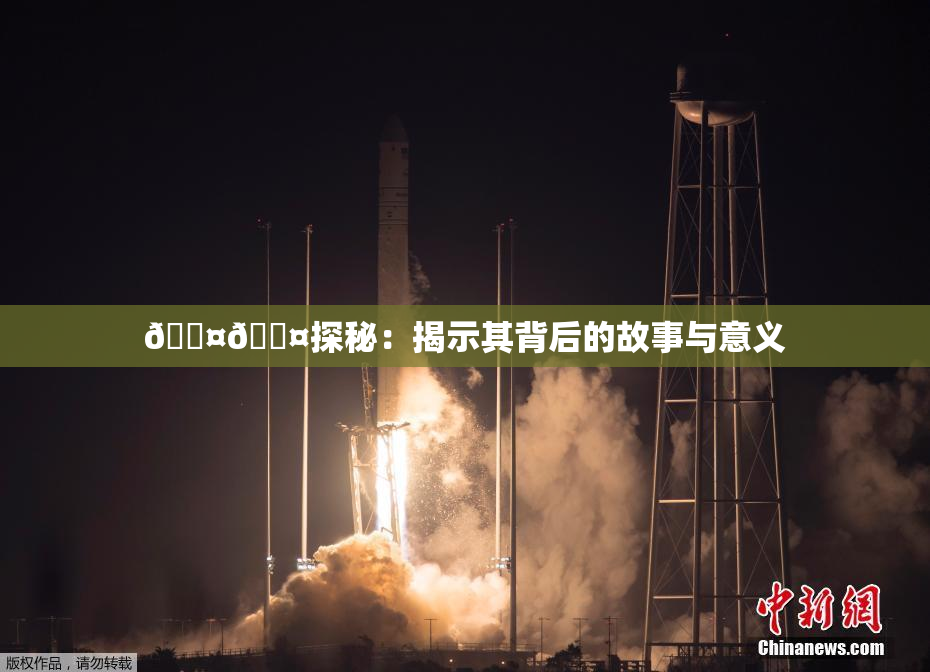 🐤🐤探秘：揭示其背后的故事与意义
