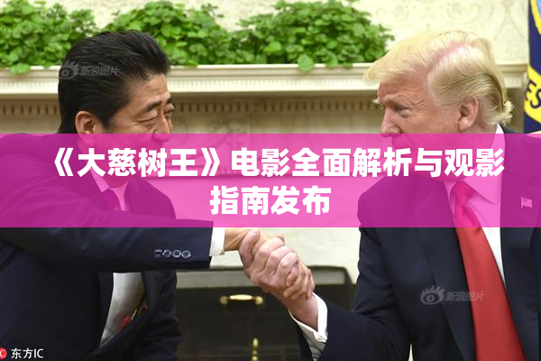 《大慈树王》电影全面解析与观影指南发布