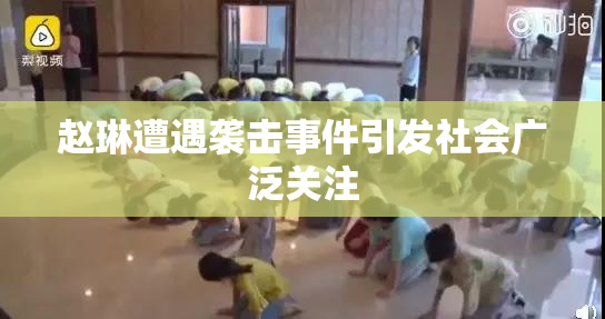 赵琳遭遇袭击事件引发社会广泛关注