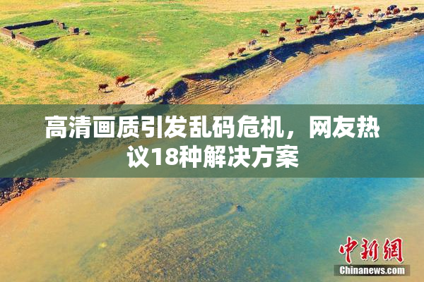 高清画质引发乱码危机，网友热议18种解决方案