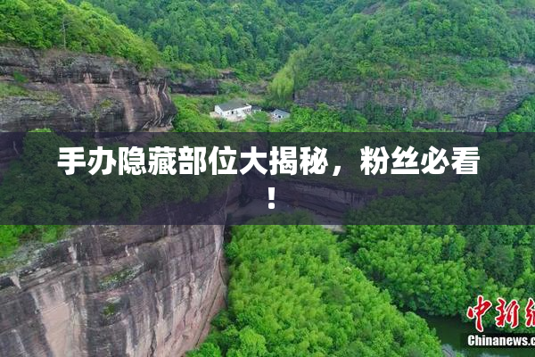 手办隐藏部位大揭秘，粉丝必看！