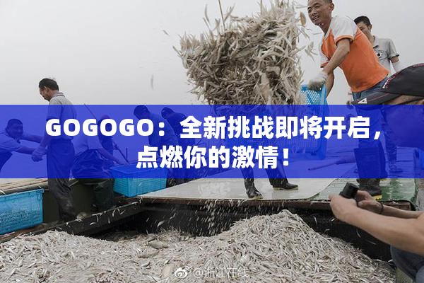 GOGOGO：全新挑战即将开启，点燃你的激情！