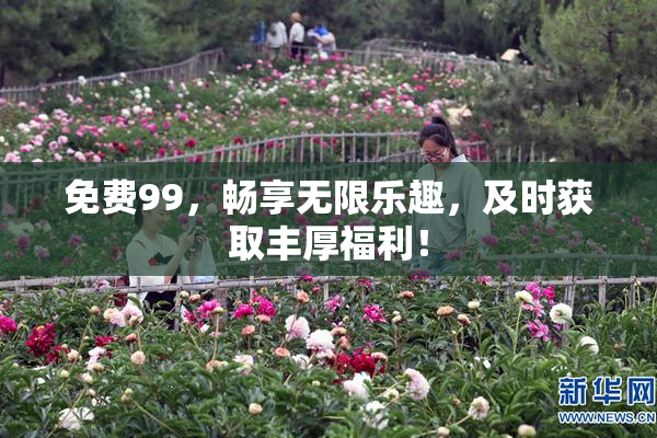 免费99，畅享无限乐趣，及时获取丰厚福利！