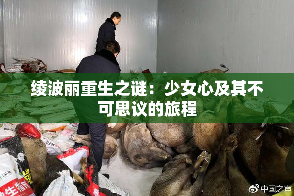绫波丽重生之谜：少女心及其不可思议的旅程