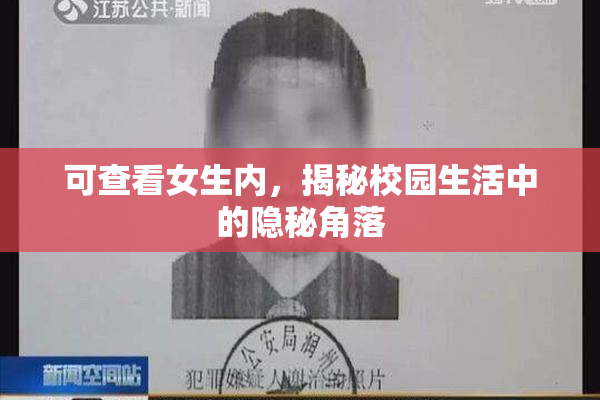 可查看女生内，揭秘校园生活中的隐秘角落