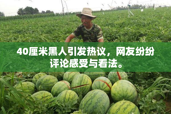 40厘米黑人引发热议，网友纷纷评论感受与看法。