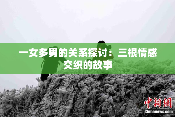 一女多男的关系探讨：三根情感交织的故事