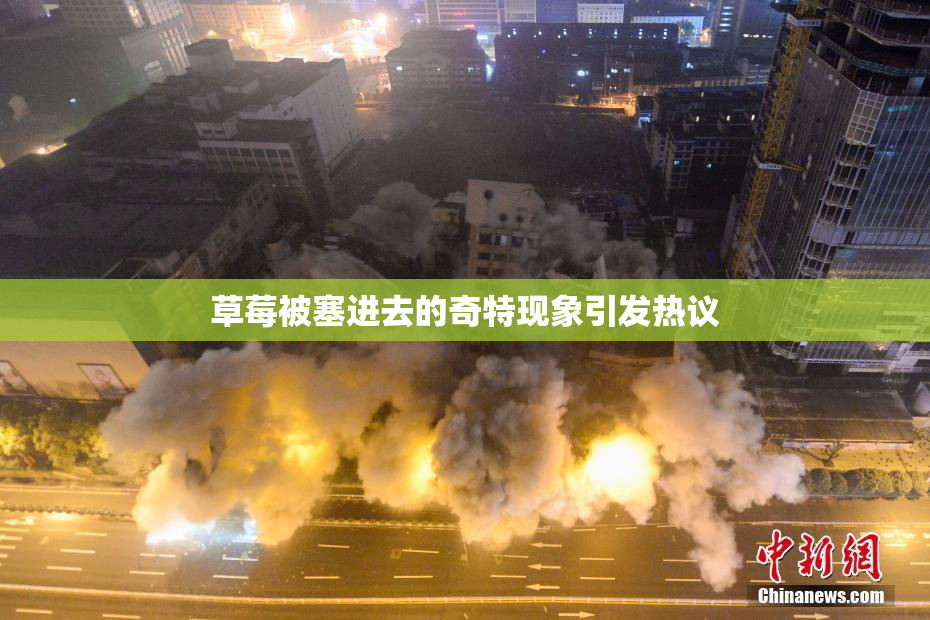 草莓被塞进去的奇特现象引发热议