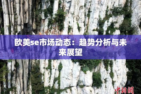 欧美se市场动态：趋势分析与未来展望