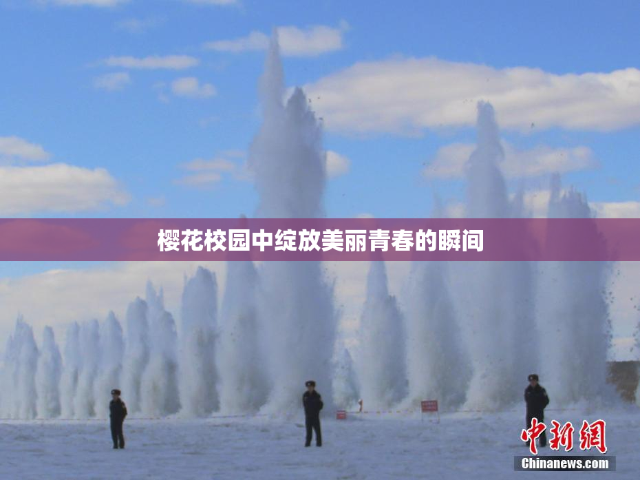 樱花校园中绽放美丽青春的瞬间