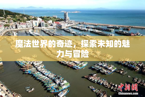 魔法世界的奇迹，探索未知的魅力与冒险