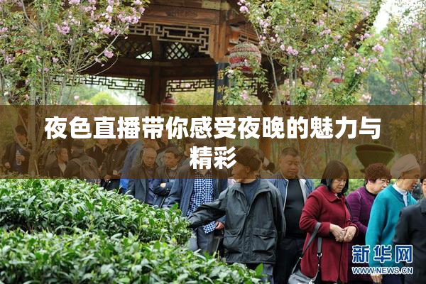 夜色直播带你感受夜晚的魅力与精彩