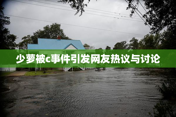 少萝被c事件引发网友热议与讨论