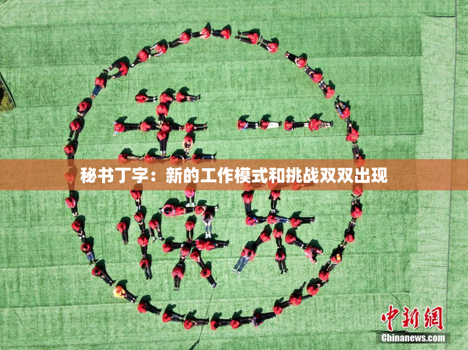秘书丁字：新的工作模式和挑战双双出现