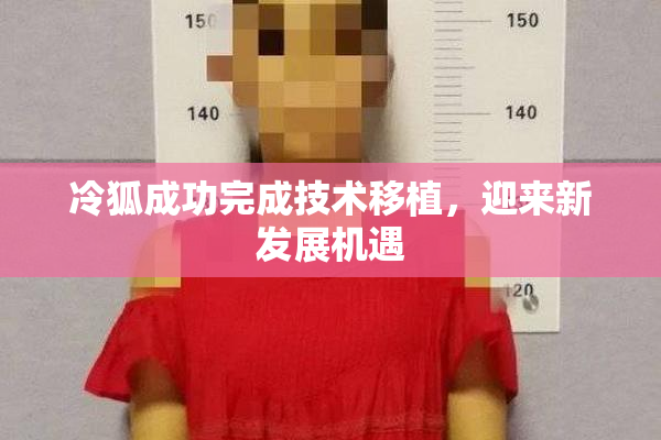 冷狐成功完成技术移植，迎来新发展机遇