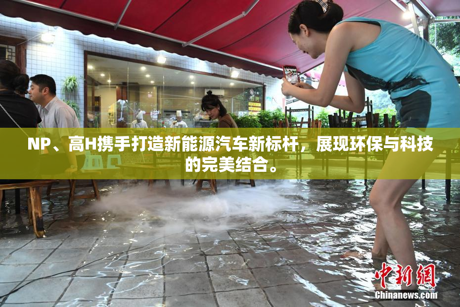 NP、高H携手打造新能源汽车新标杆，展现环保与科技的完美结合。