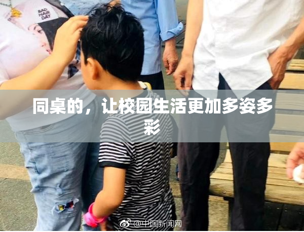 同桌的，让校园生活更加多姿多彩