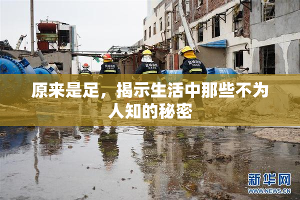 原来是足，揭示生活中那些不为人知的秘密