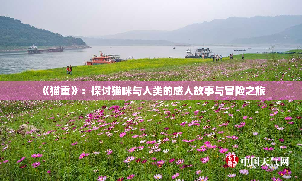 《猫重》：探讨猫咪与人类的感人故事与冒险之旅