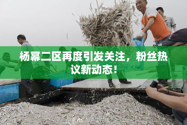 杨幂二区再度引发关注，粉丝热议新动态！
