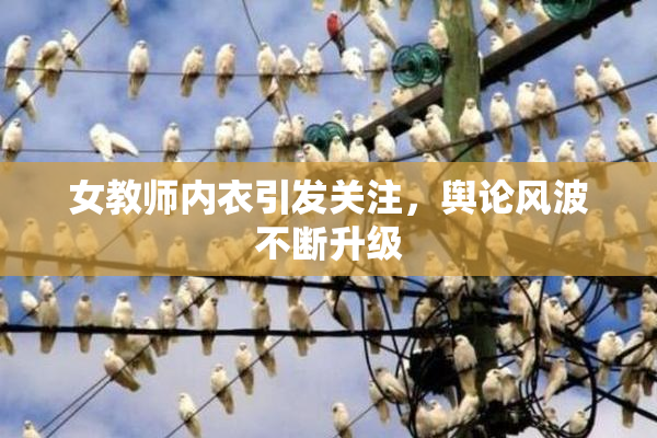 女教师内衣引发关注，舆论风波不断升级