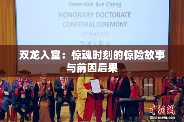 双龙入室：惊魂时刻的惊险故事与前因后果