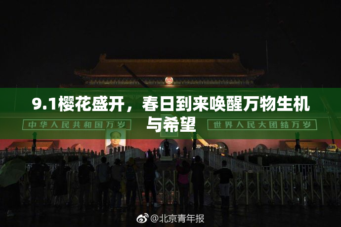 9.1樱花盛开，春日到来唤醒万物生机与希望