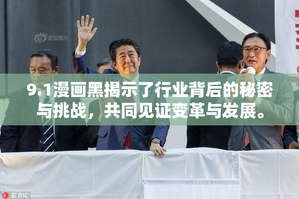 9.1漫画黑揭示了行业背后的秘密与挑战，共同见证变革与发展。