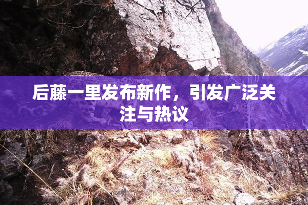 后藤一里发布新作，引发广泛关注与热议