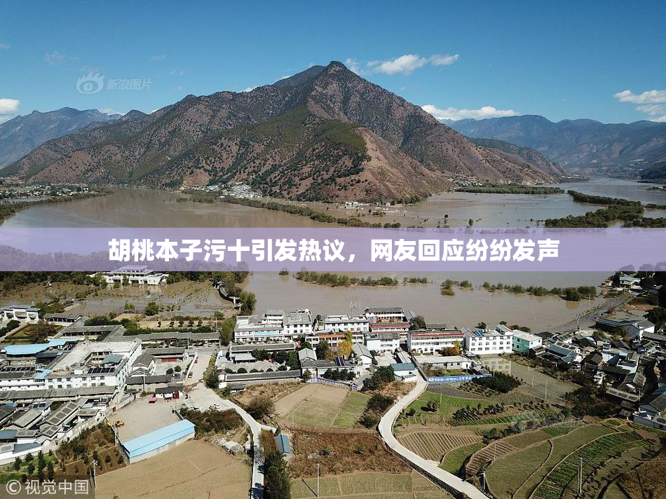 胡桃本子污十引发热议，网友回应纷纷发声