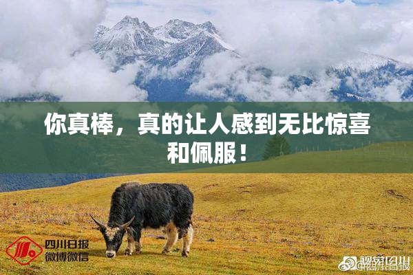 你真棒，真的让人感到无比惊喜和佩服！